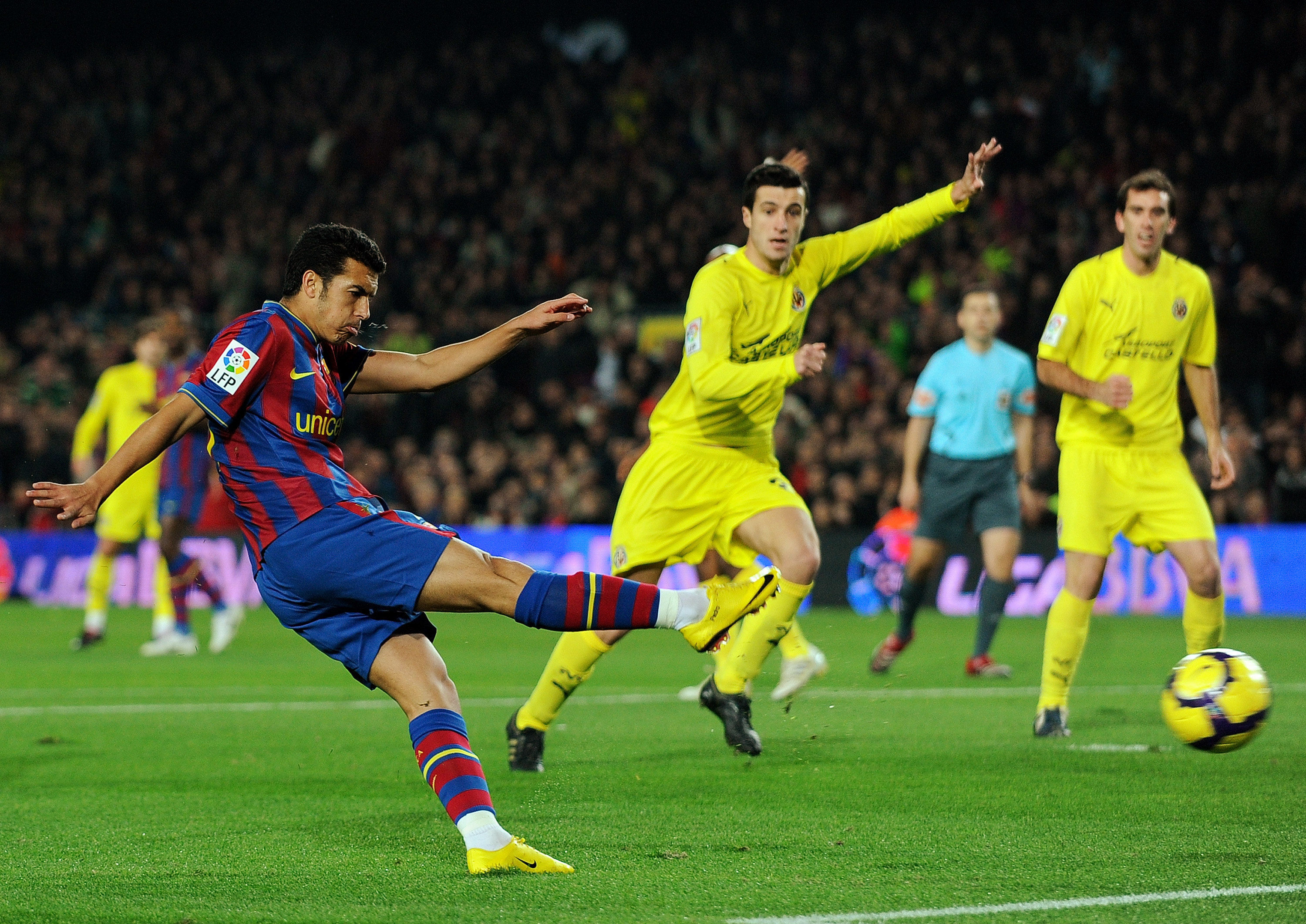 为众多年轻 为众多年轻